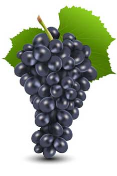 Resveratrol successful with NK malignancies