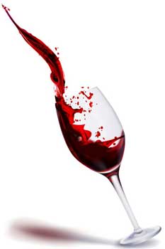 resveratrol for obese men