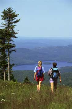 active lifestyle as good as regular gym participation